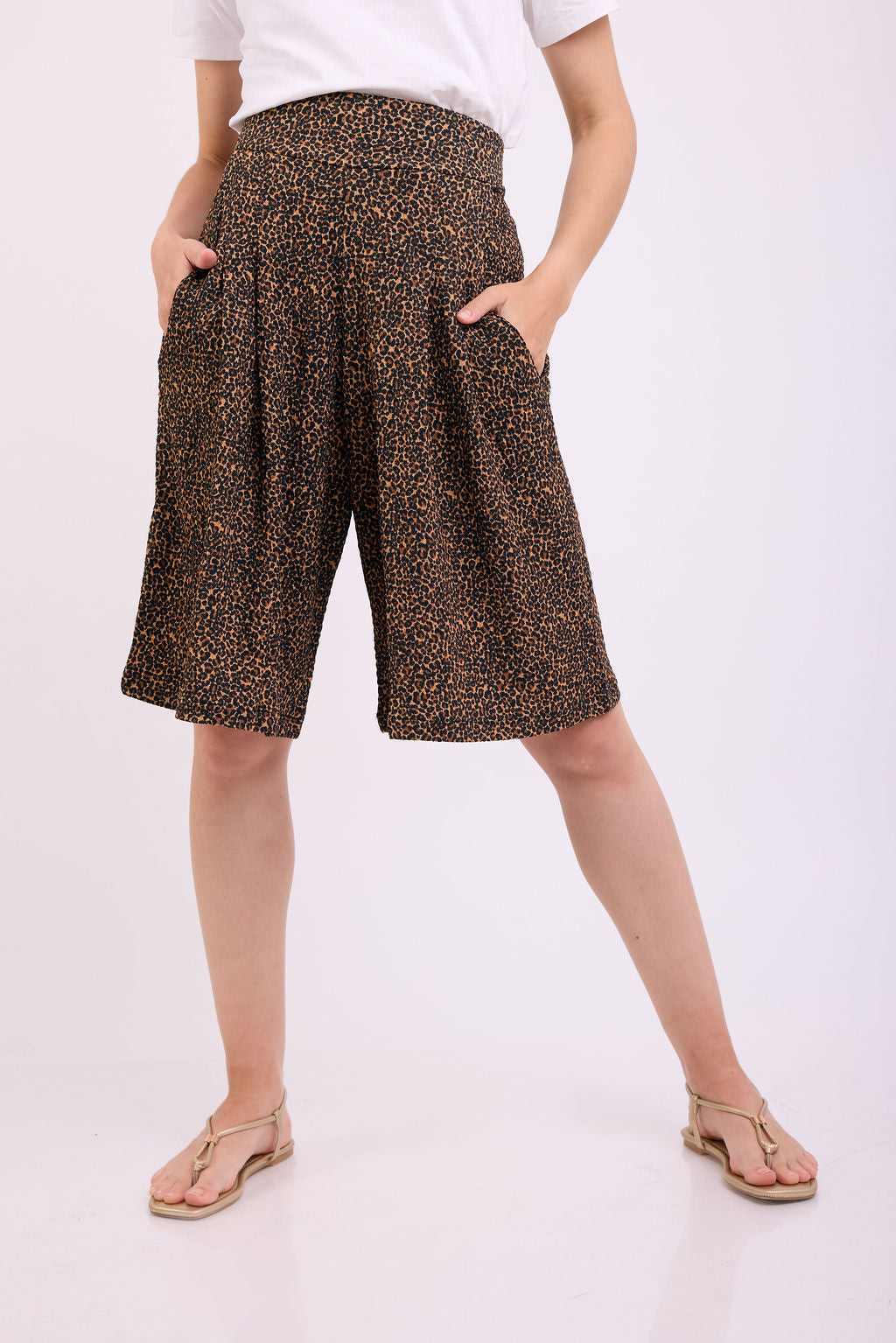 מפרשית קרן מידי